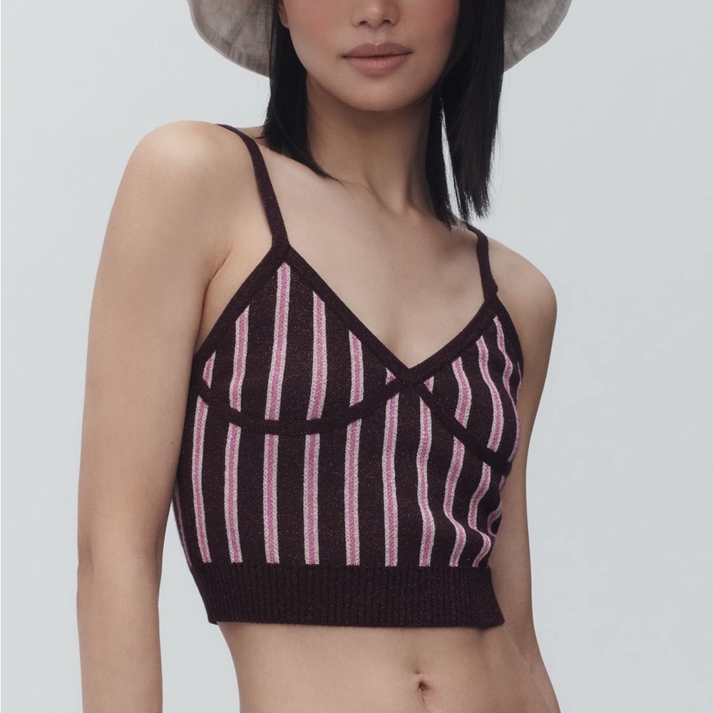 Anthropologie Burgundy and Pink Striped Crop Top